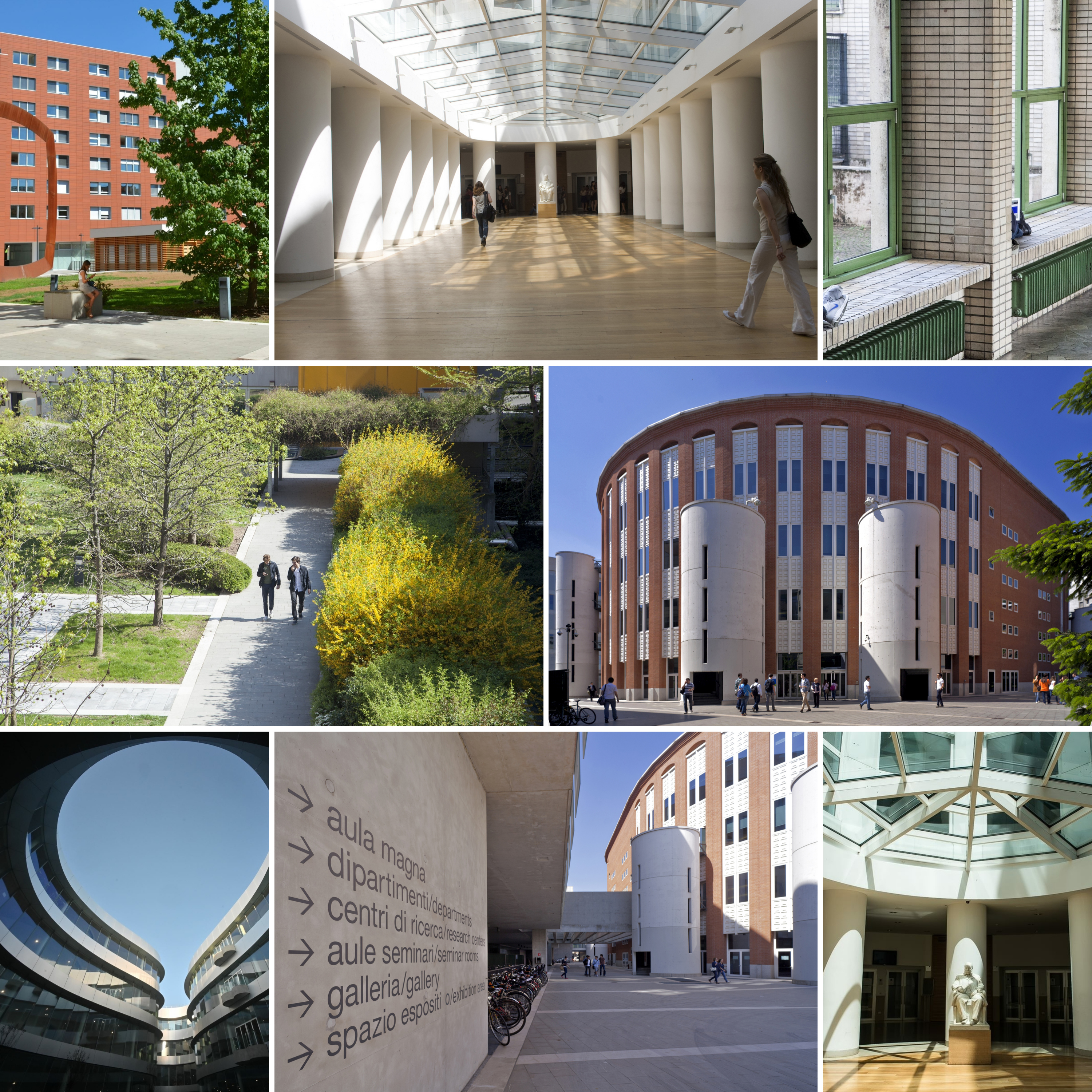 collage foto bocconi